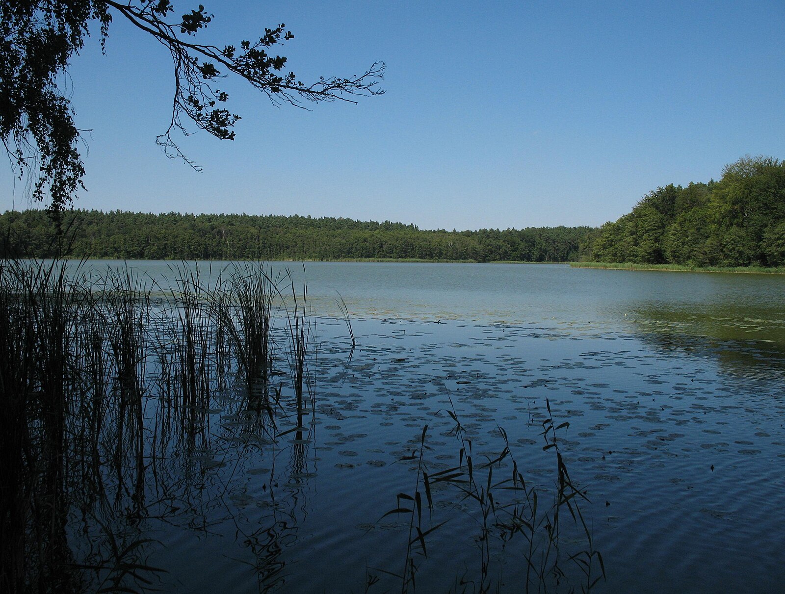 Umzugsunternehmen Mühlenbecker Land